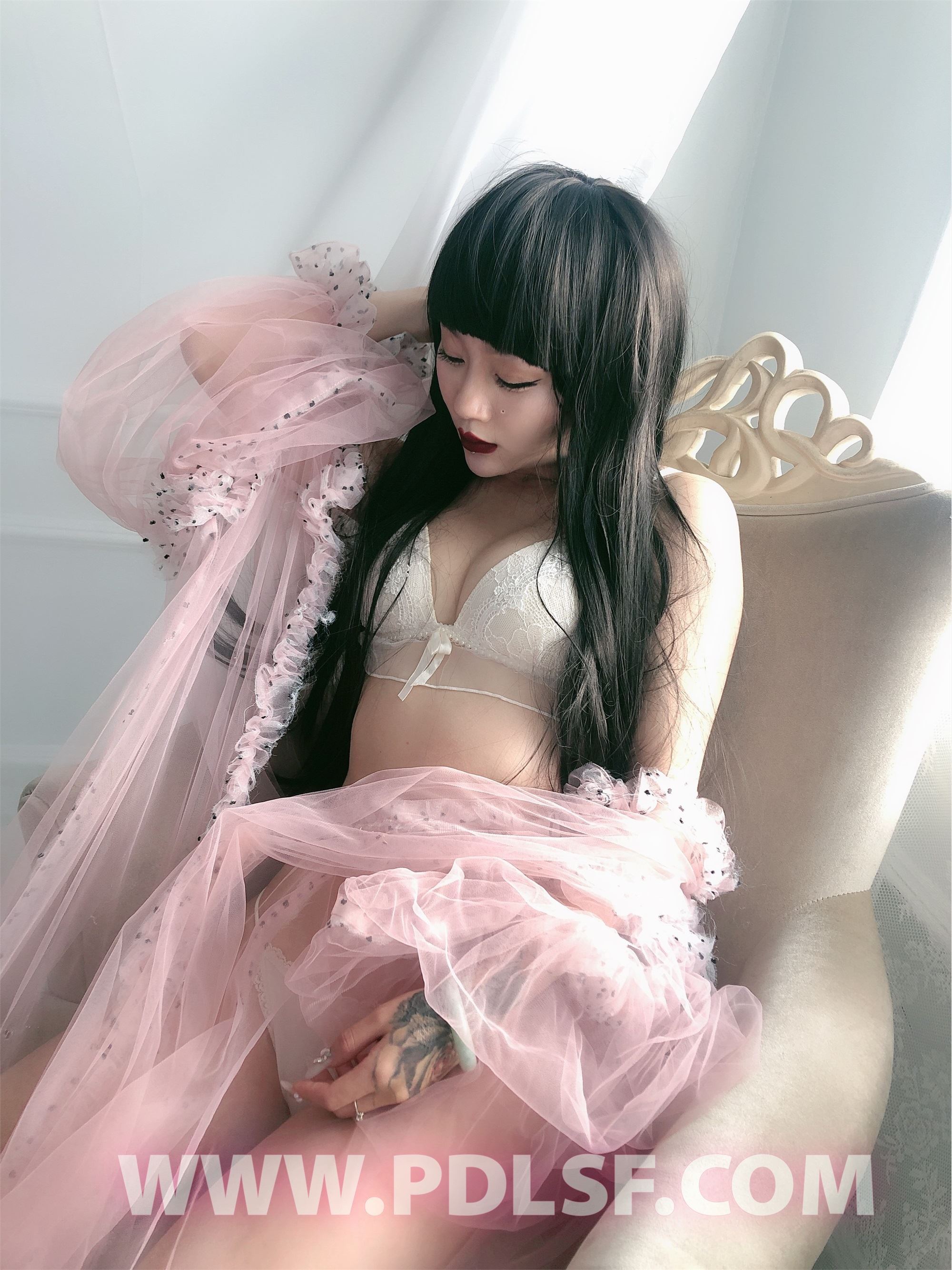 PDL潘多拉 2020.02.03 专辑No.275